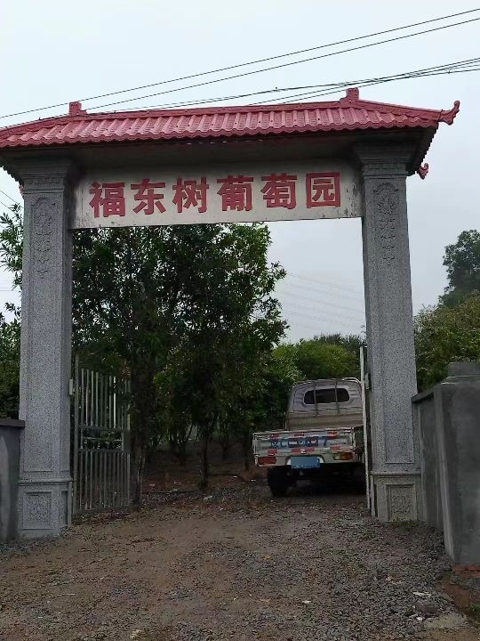 福东树葡萄园