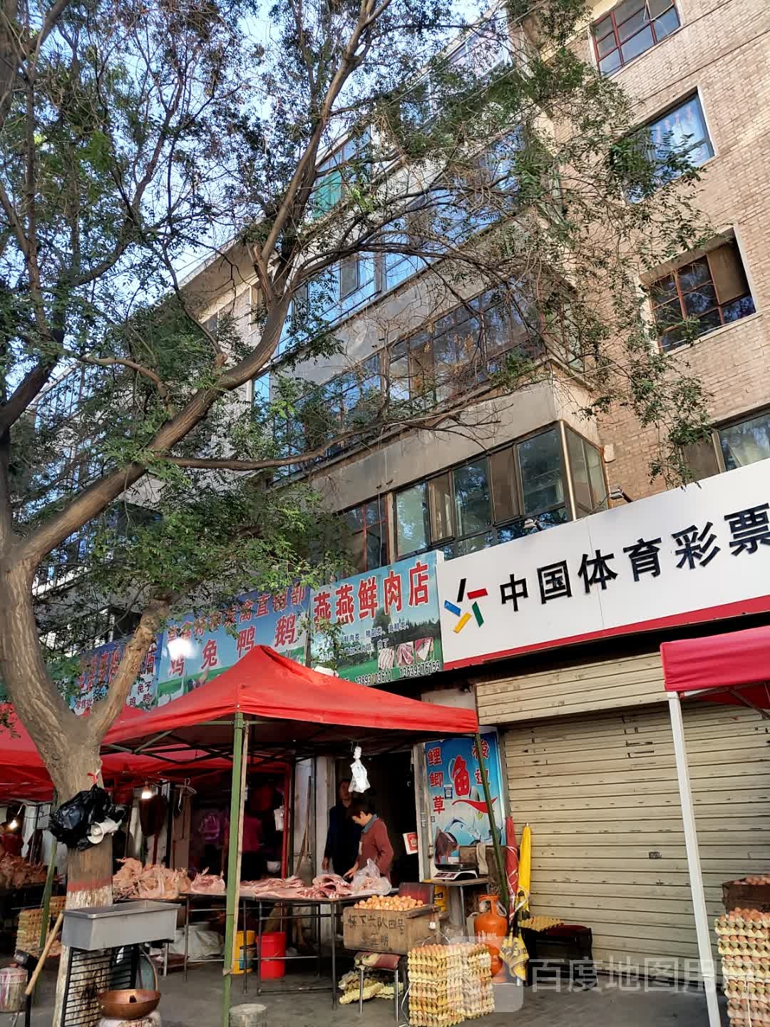 燕燕鲜肉店