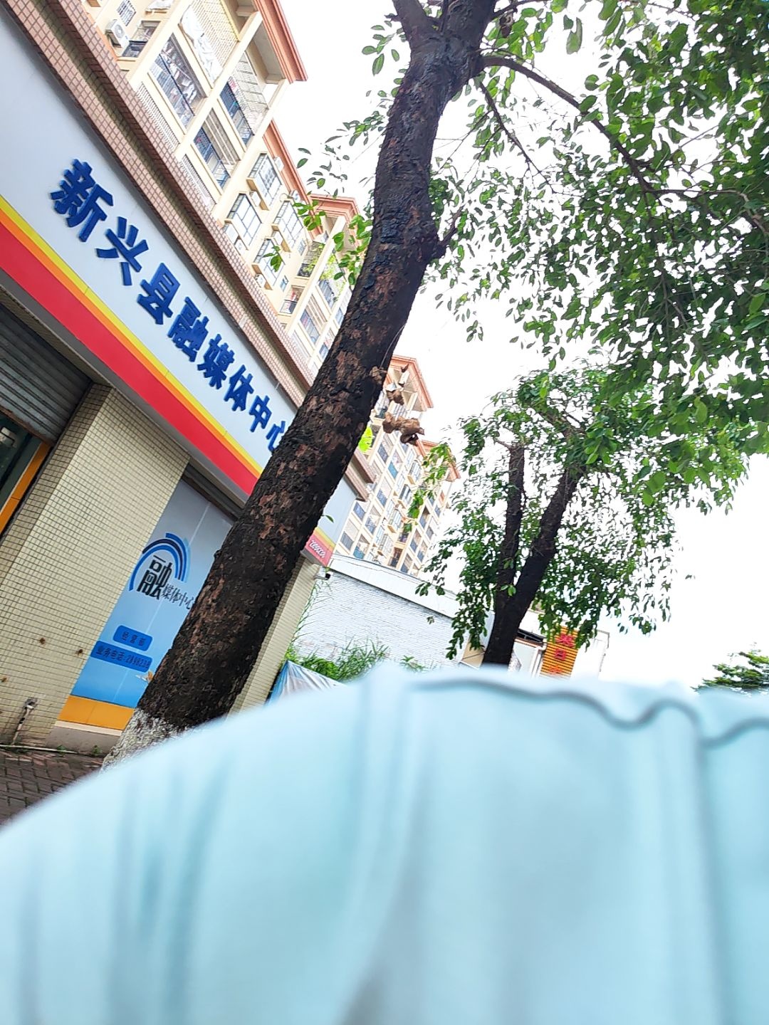 新兴县融媒体中心