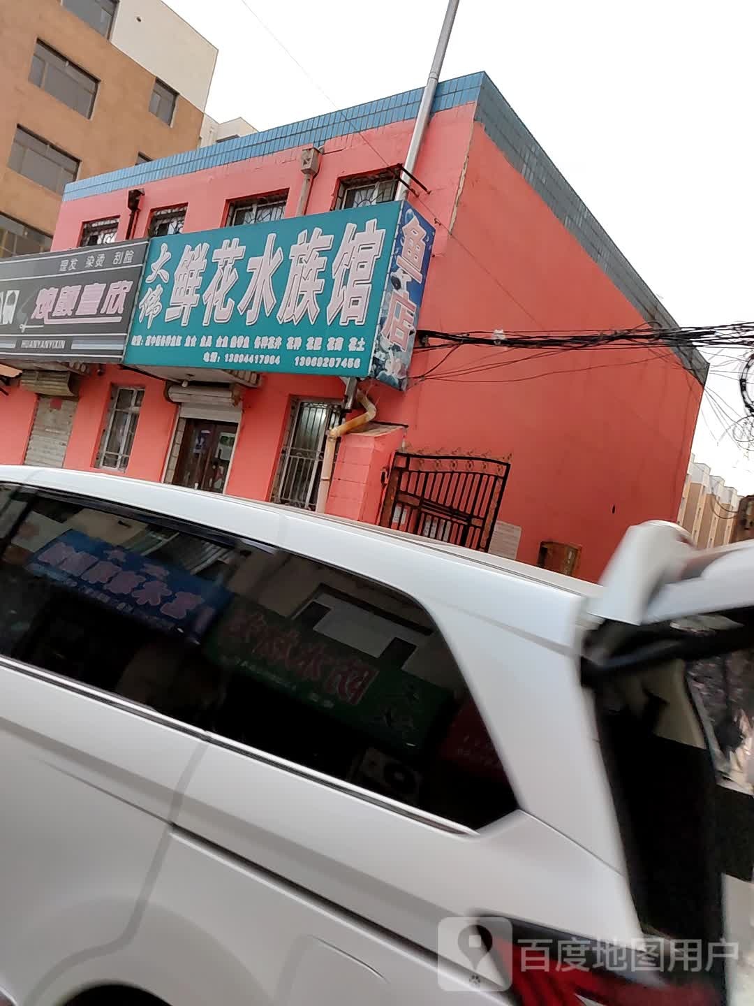 大伟鲜花水族馆