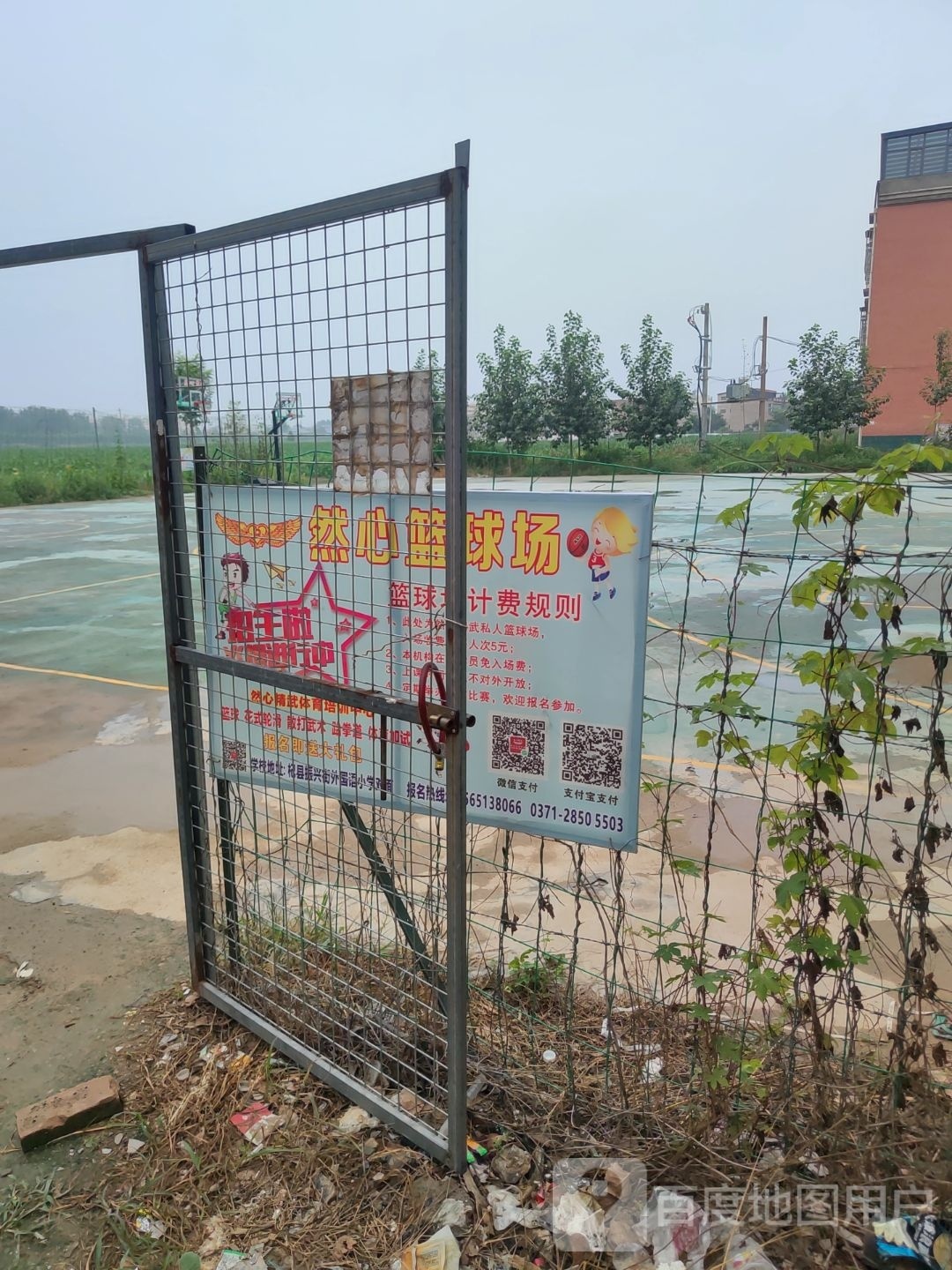 然心球厂