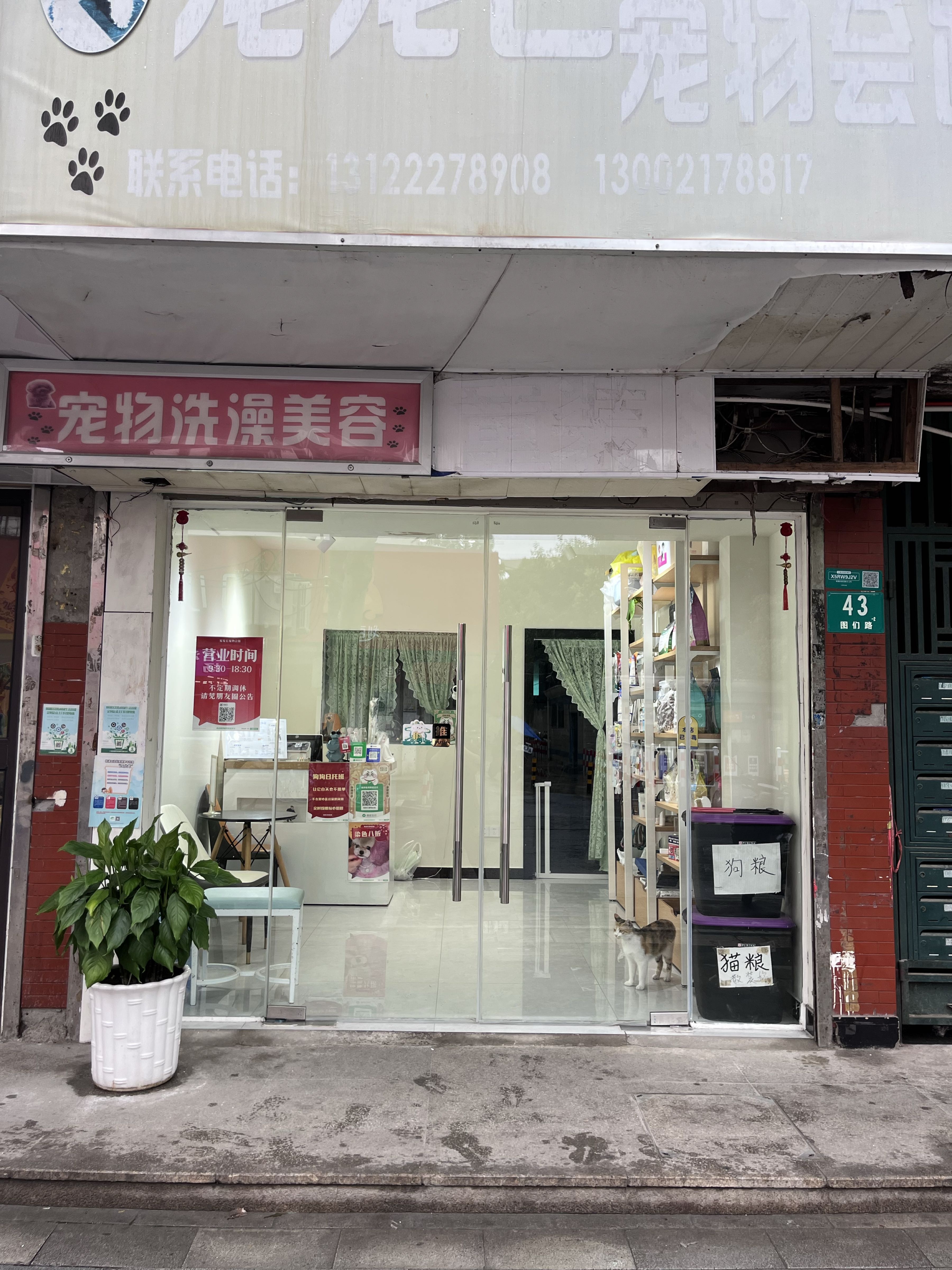 宠宠它宠物会馆(绿化楼店)