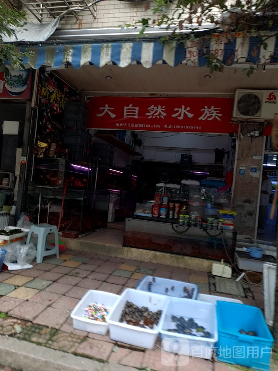 大区自然水族(方正组团店)