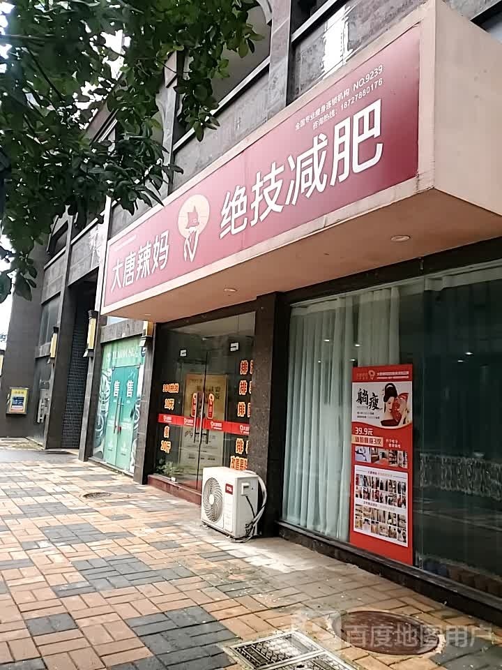 大妈染揆辣唐绝技减肥(飞鹅天地店)