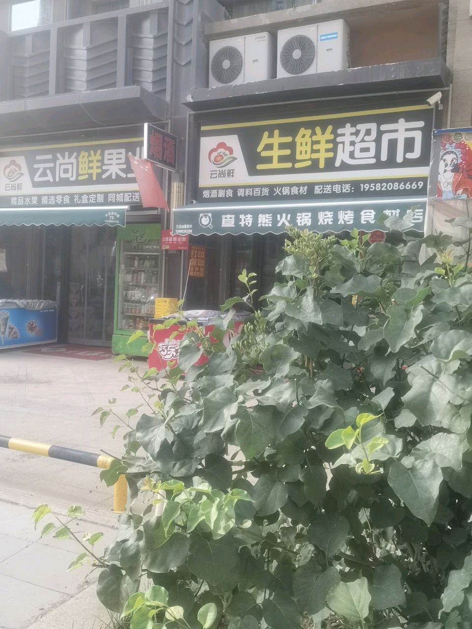 云尚鲜果业-生鲜超市