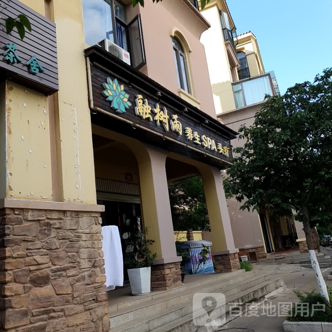 融树雨养生堂SPA足疗