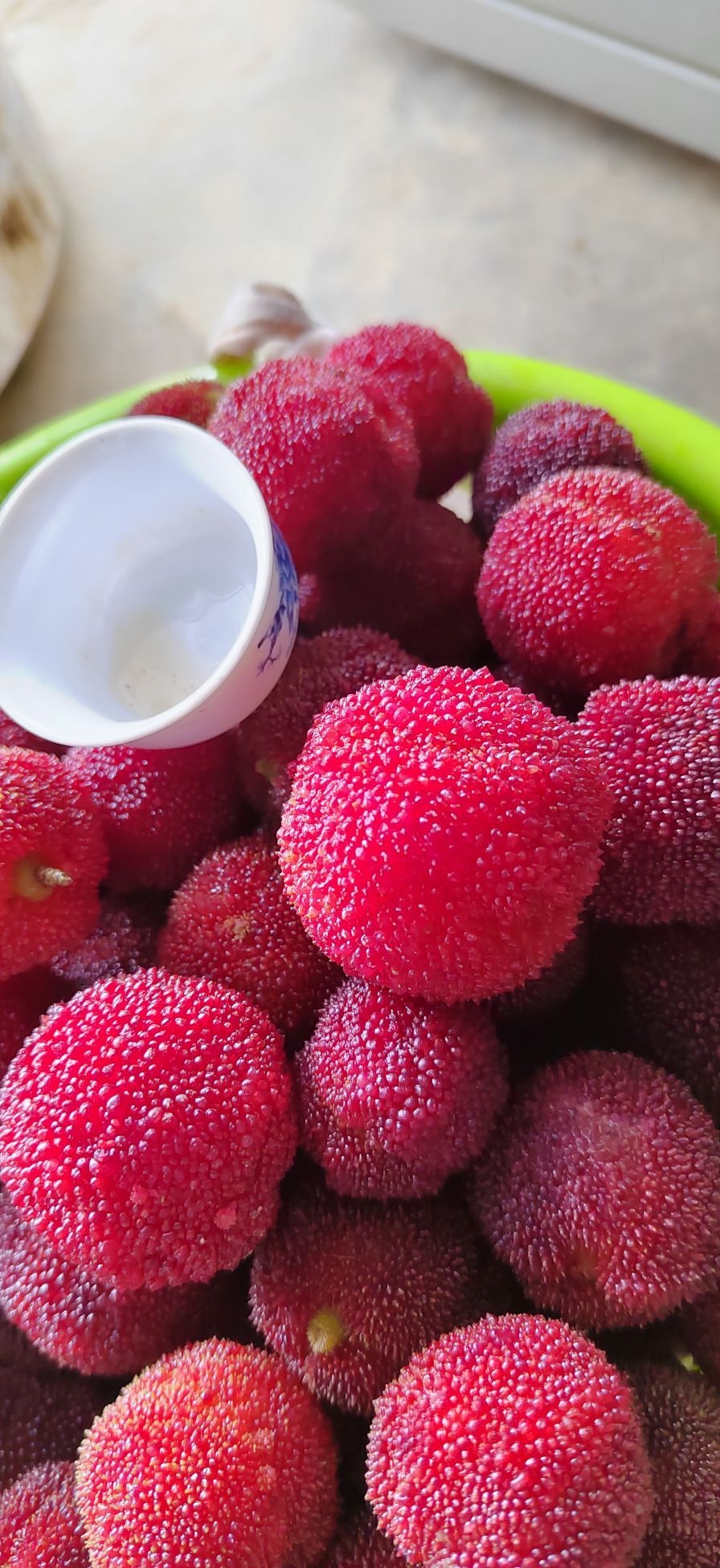 万峰德先东魁杨梅山