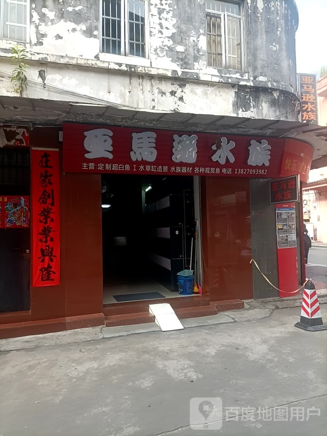 亚马逊水族(桥峰路店)