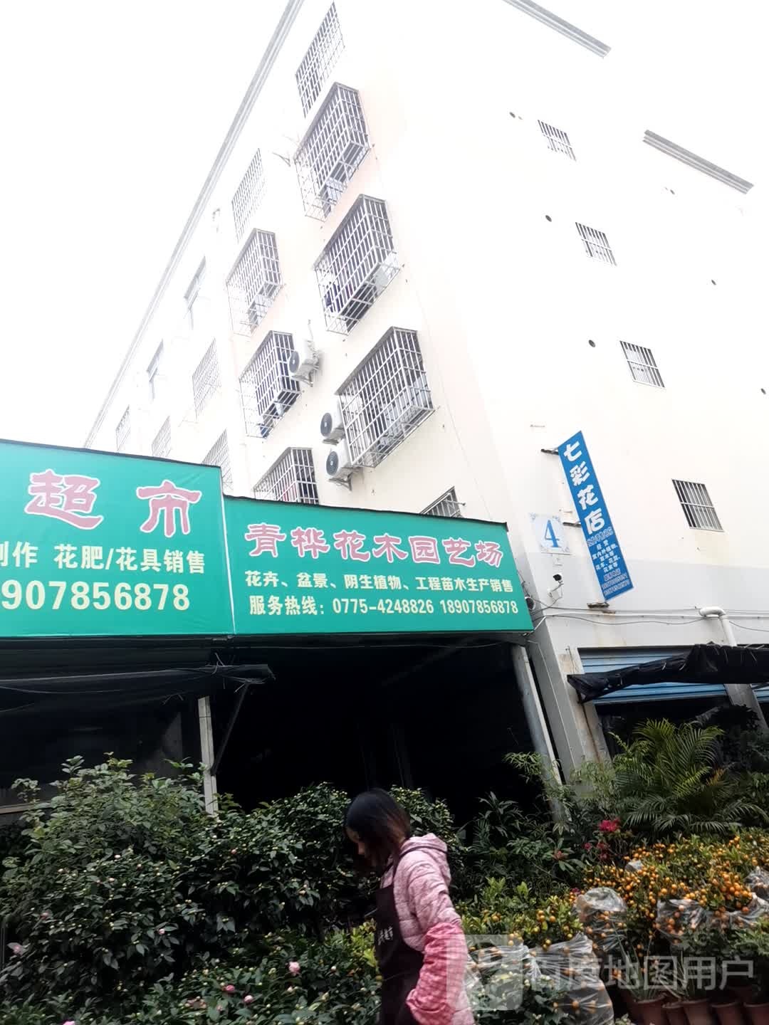 七彩鲜花篱仪部