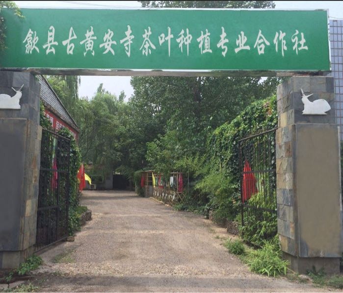 歙县古黄安寺茶叶种植专业合作社