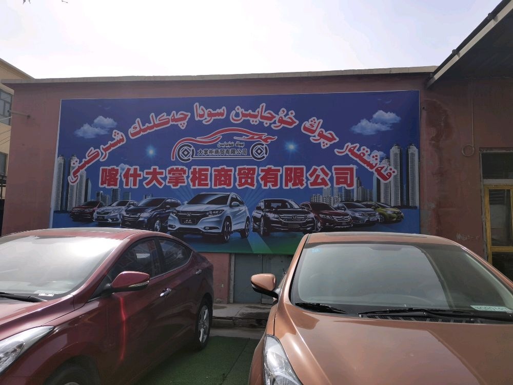 喀什大掌柜商贸有限公司(二手车)