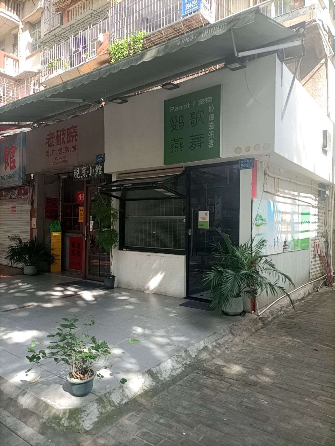 鹦歌燕舞宠物会员俱乐部