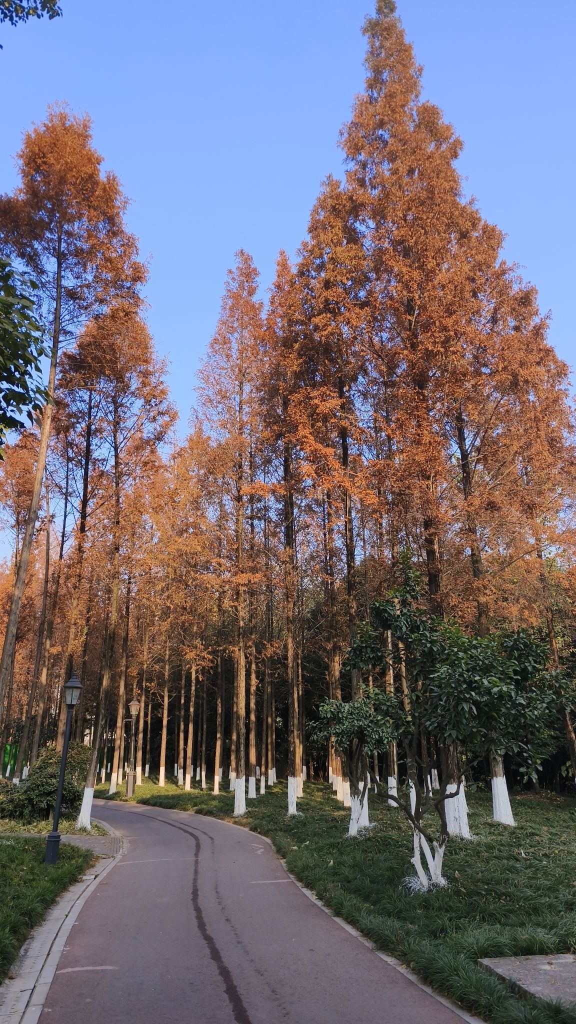 金沙滨河公园