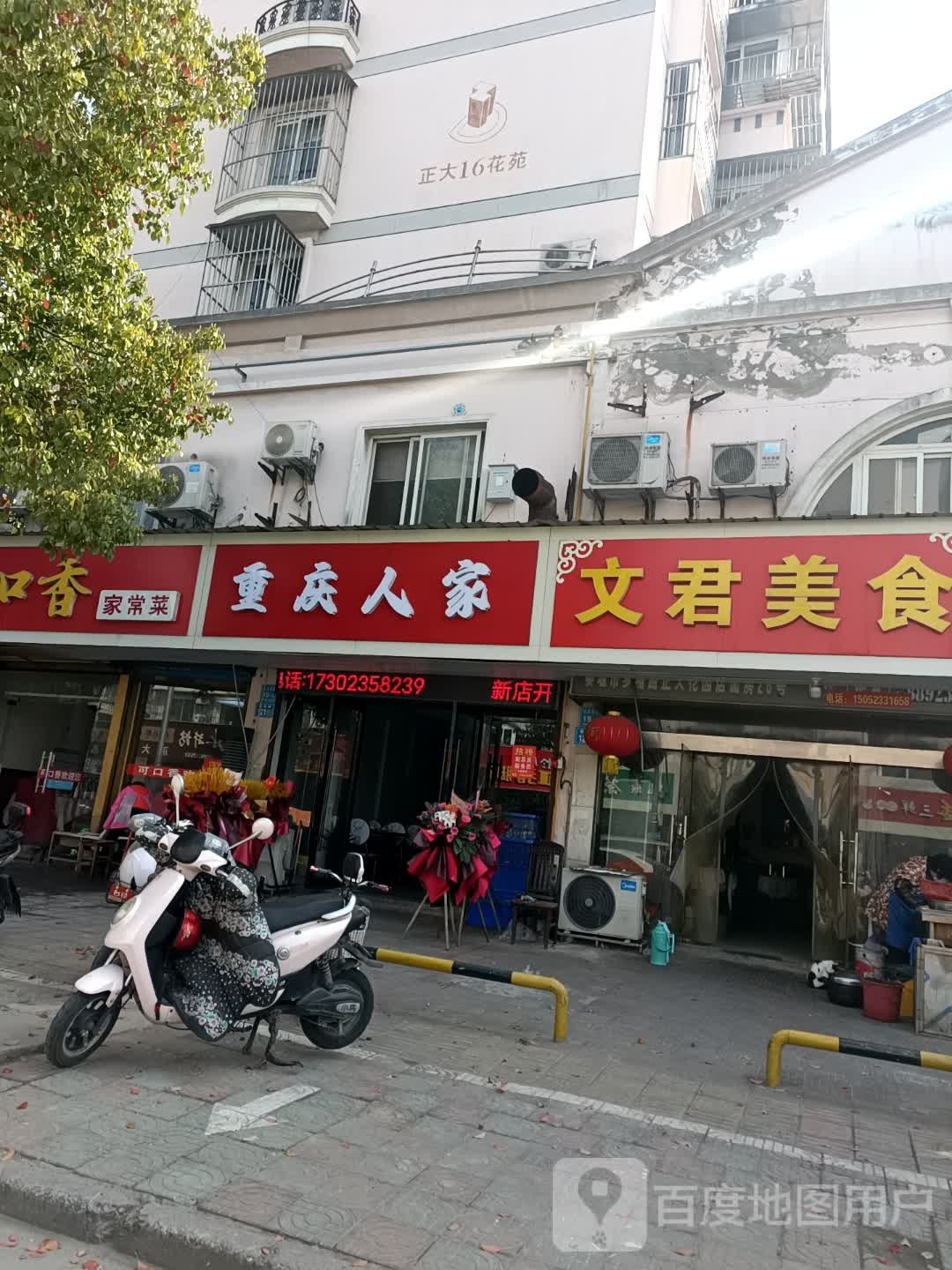虫情人家