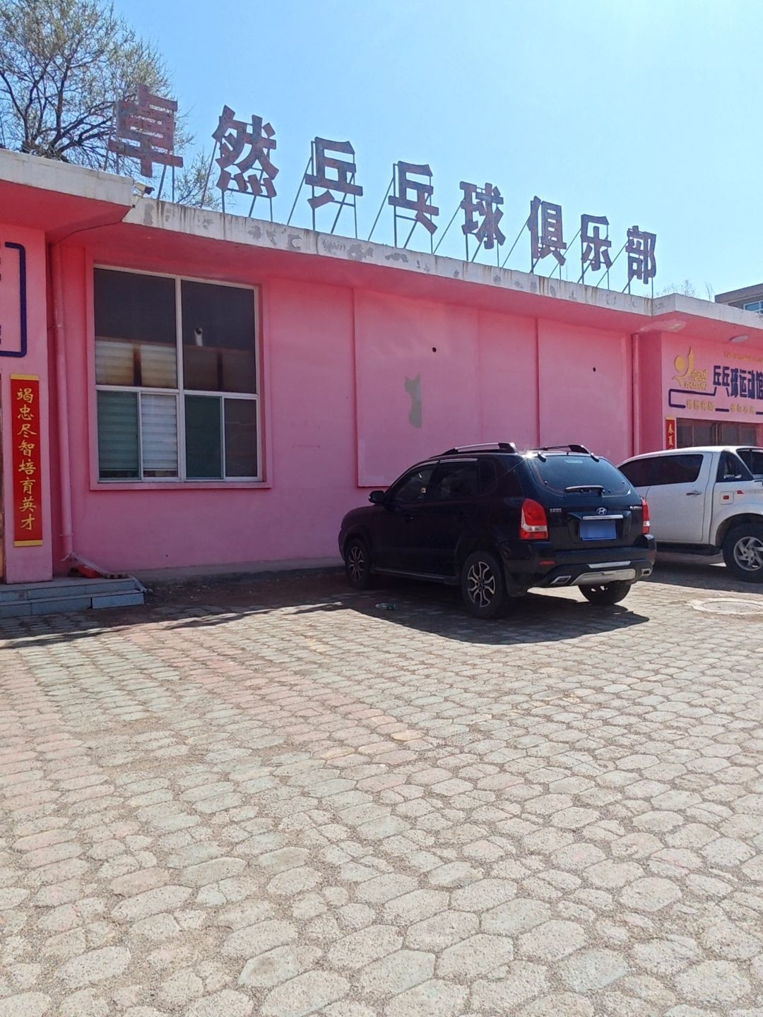 卓然乒乓球俱乐部
