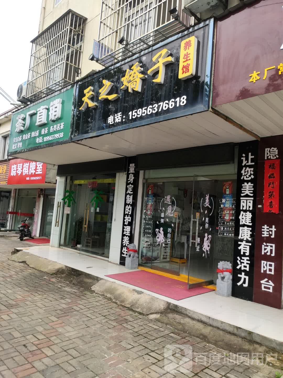 茶园直销