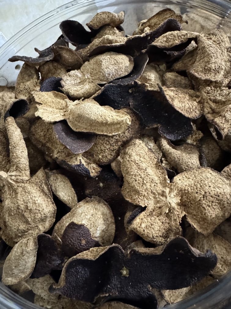 新会陈皮·茶(新会关姨)