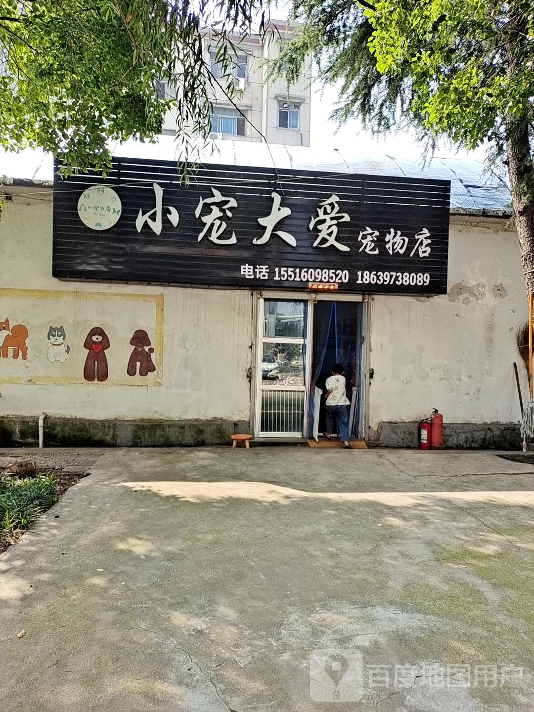 小宠大爱宠物店