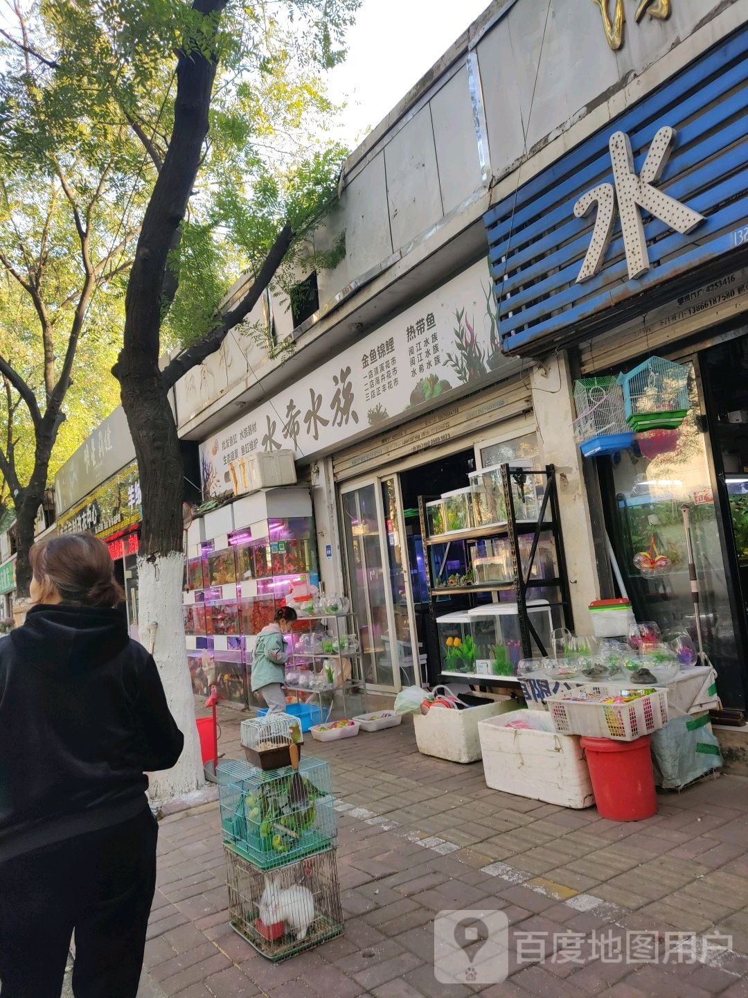 水希水族(双岗义井路民俗花卉街店)