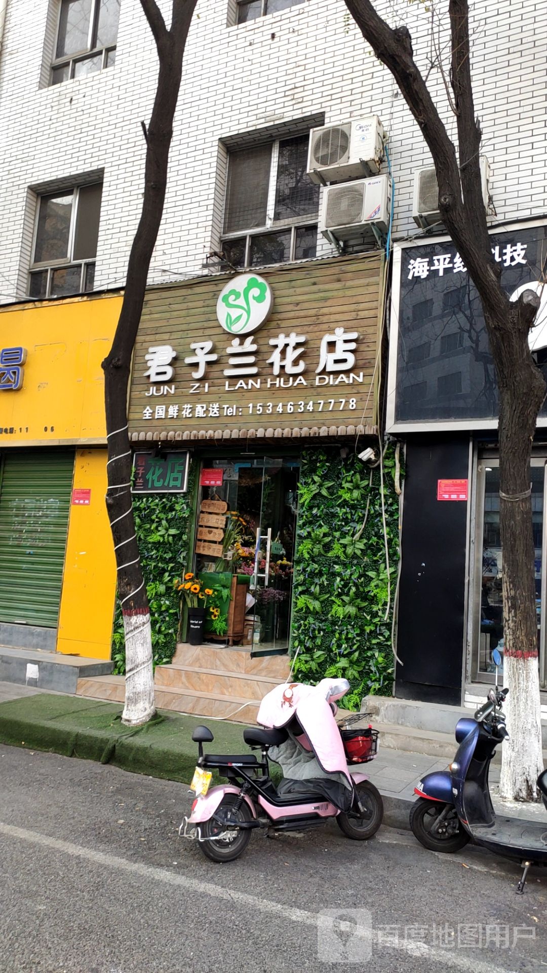 君子兰花店