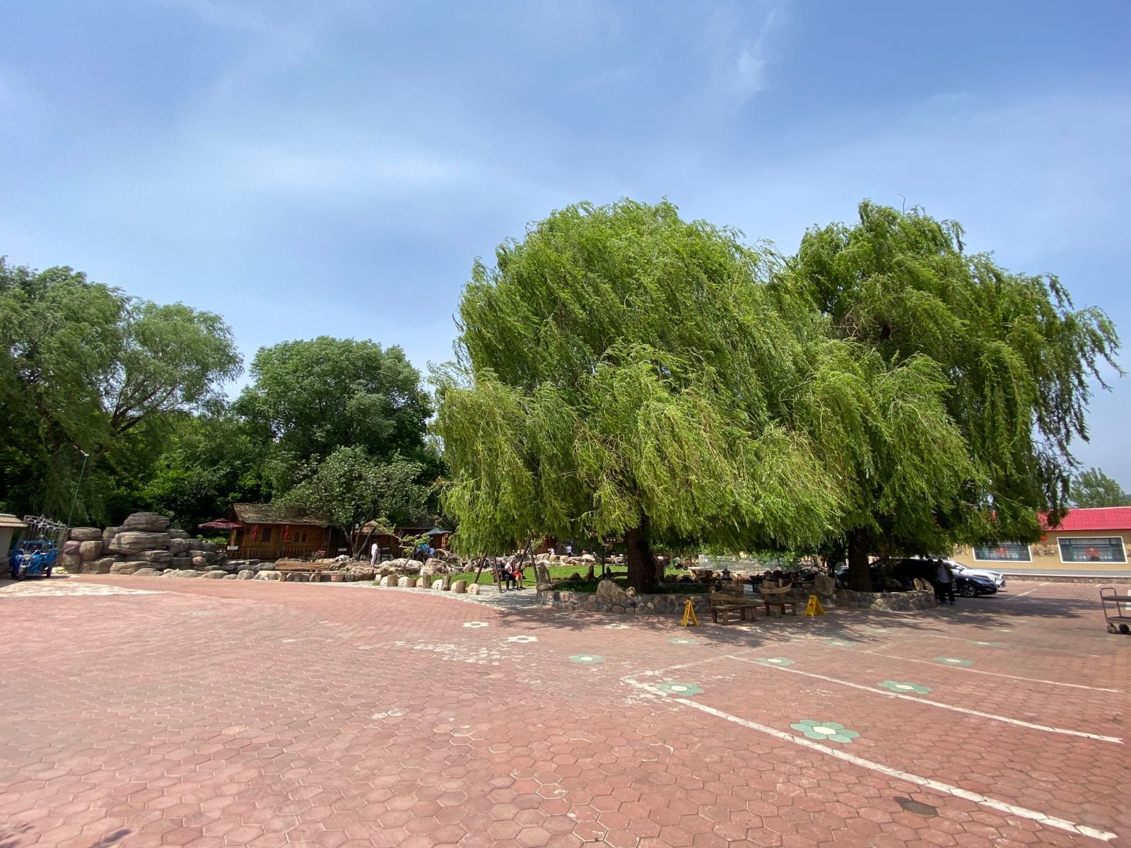 老村长农家院(连鞍线分店)