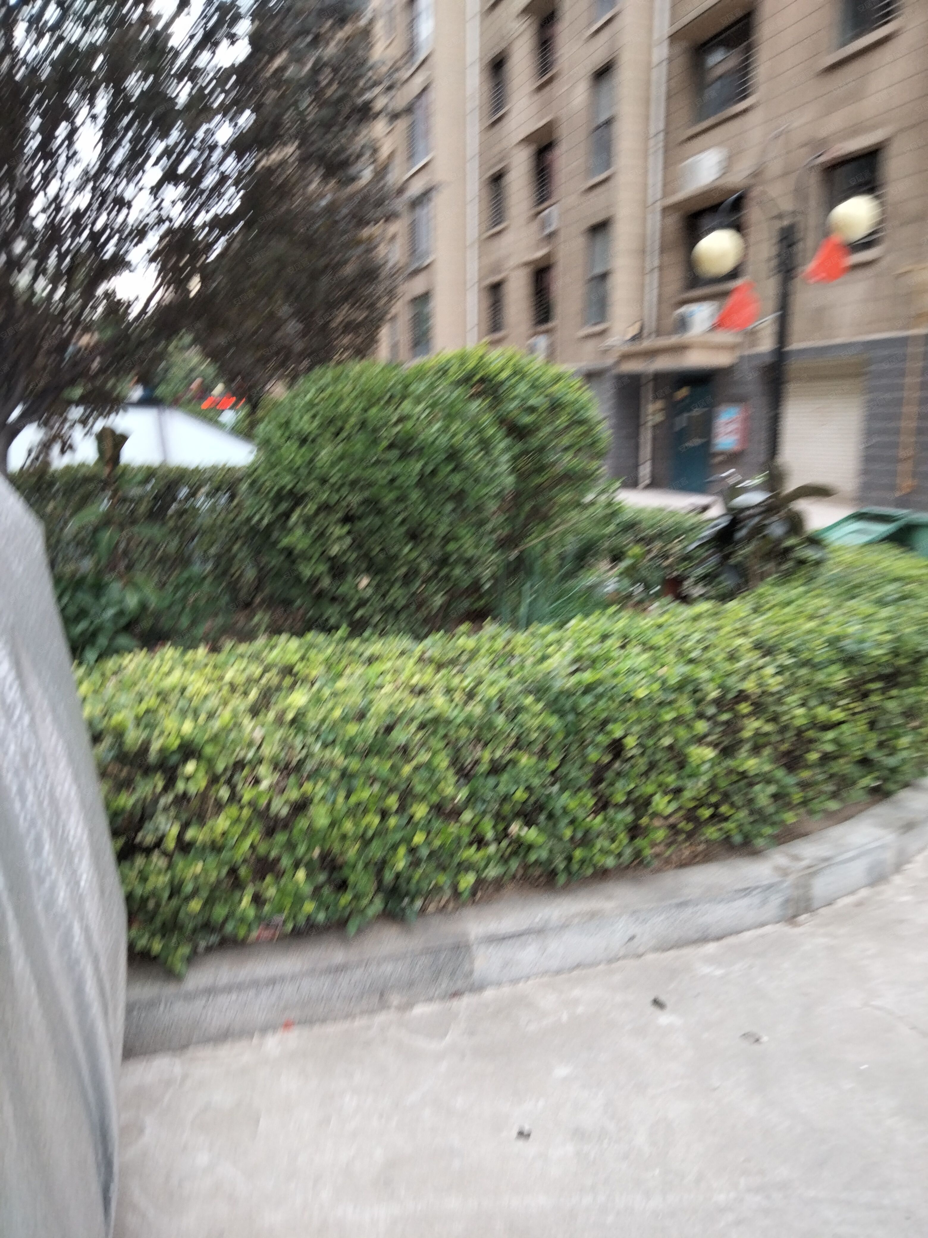 紫金苑