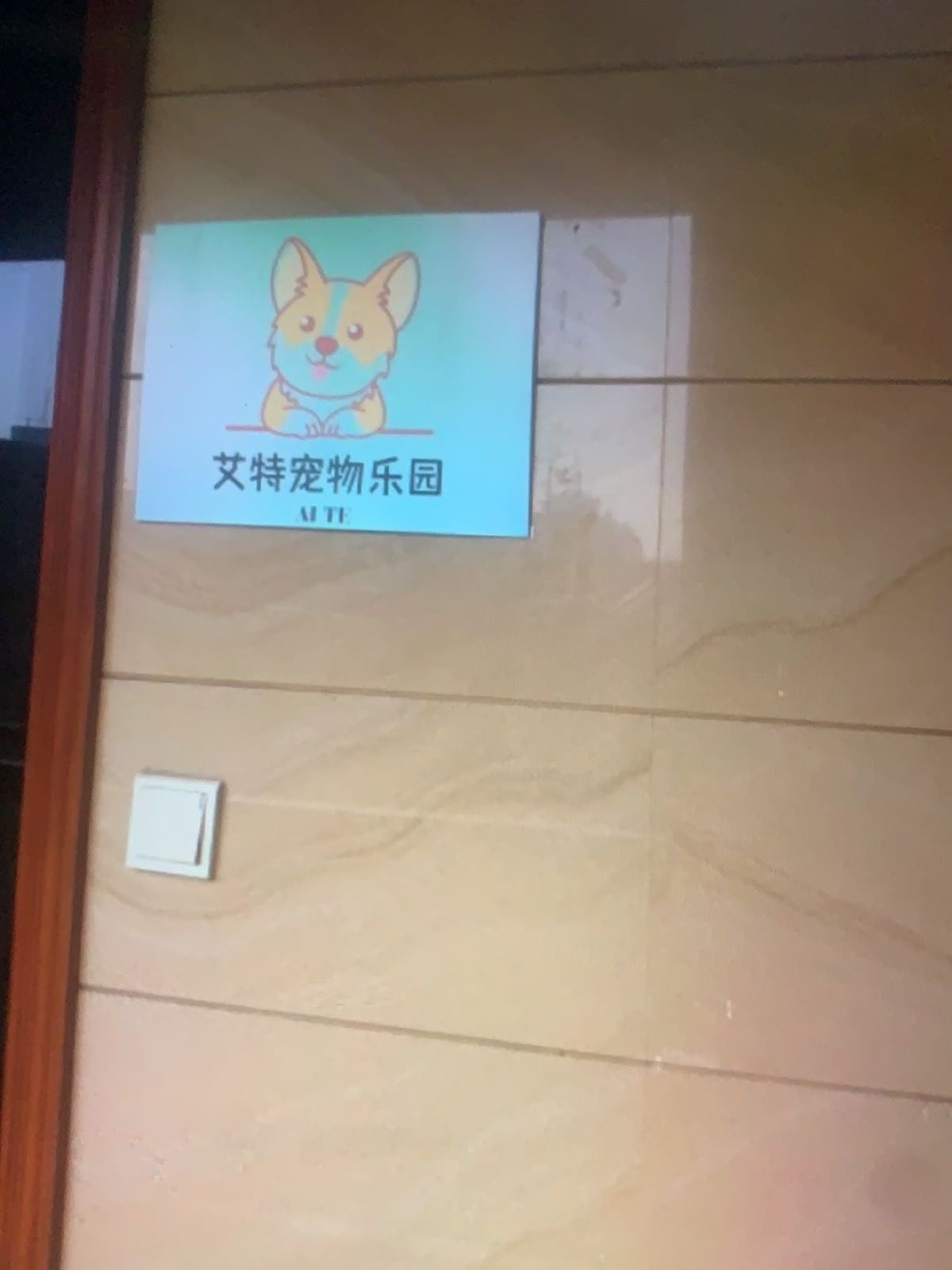 艾特宠物乐园