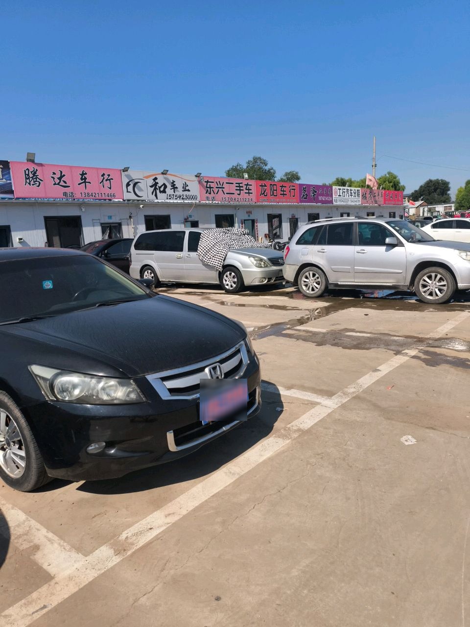 龙阳二手车