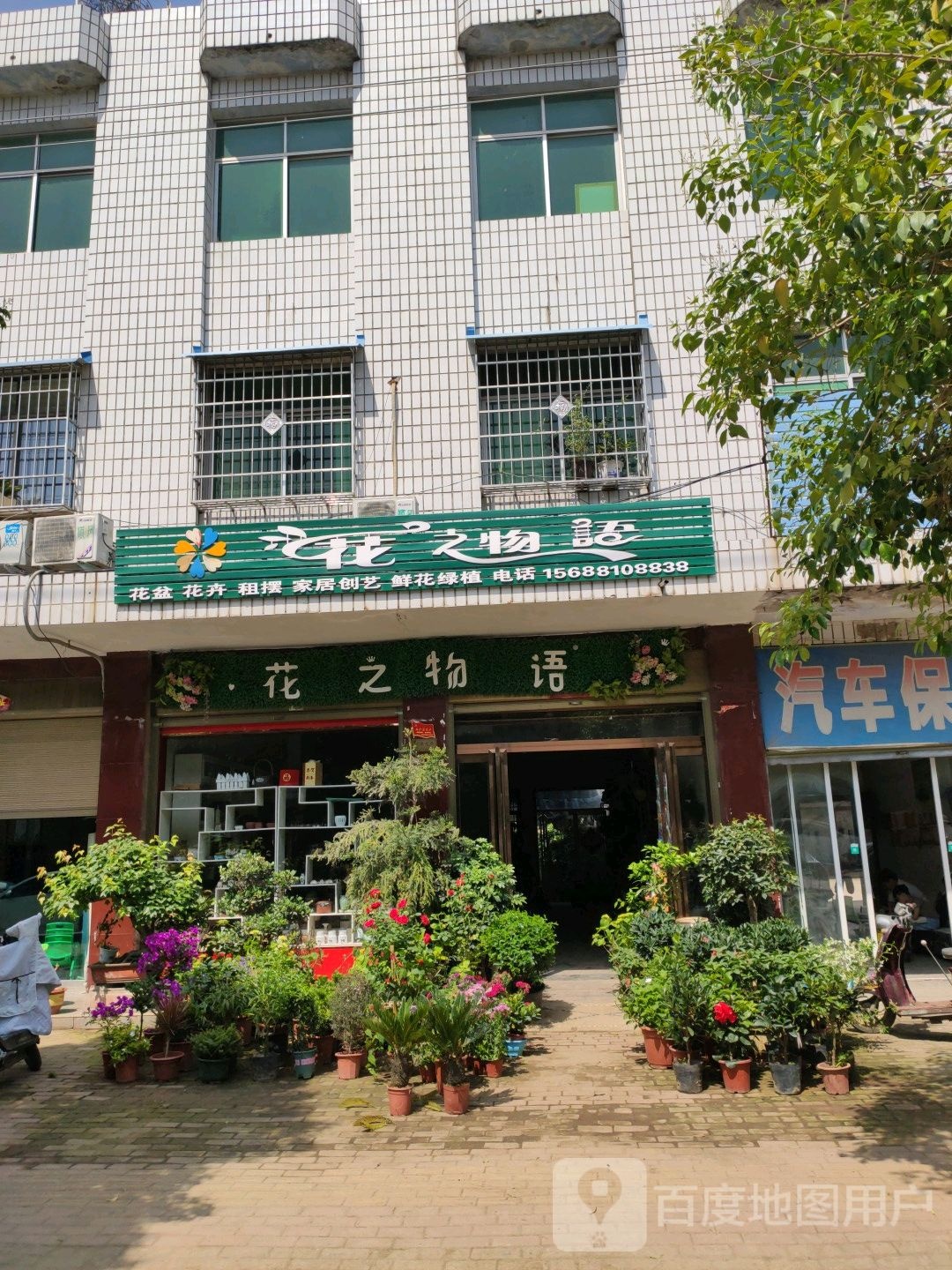 镇平县花之物语(安国路店)