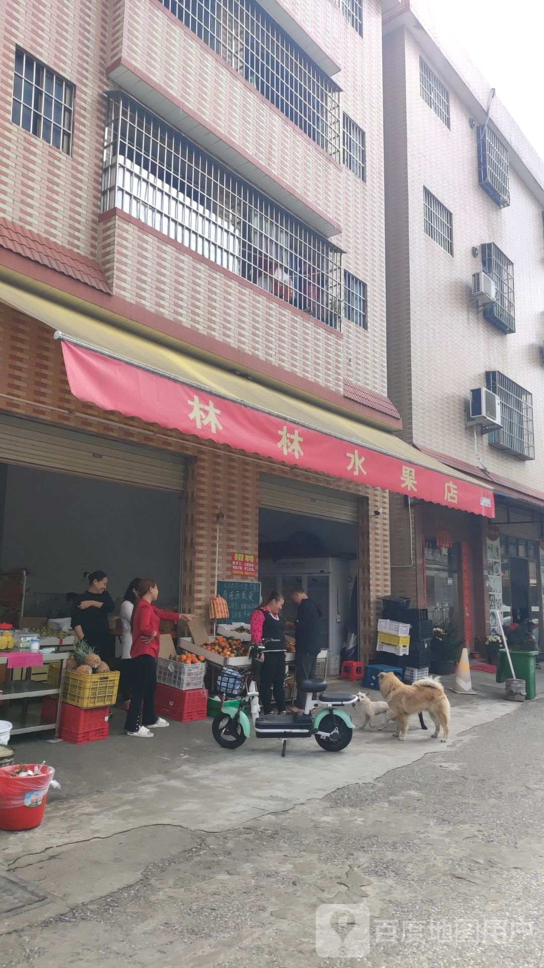 林林水果店