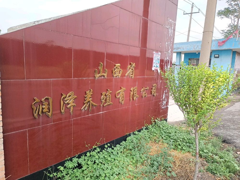 山西省润泽养殖有限公司