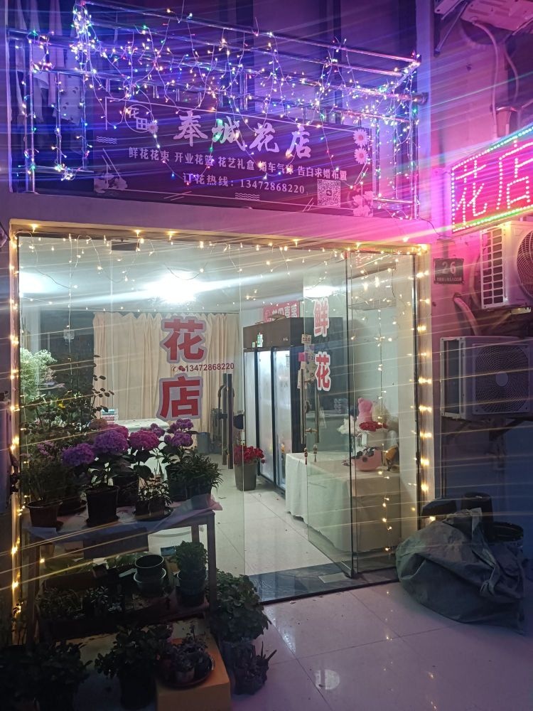 奉城花店