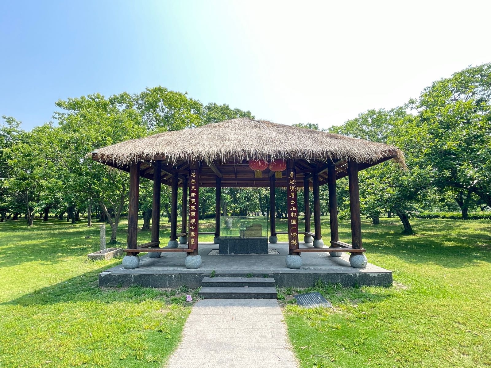 山荡古栗林