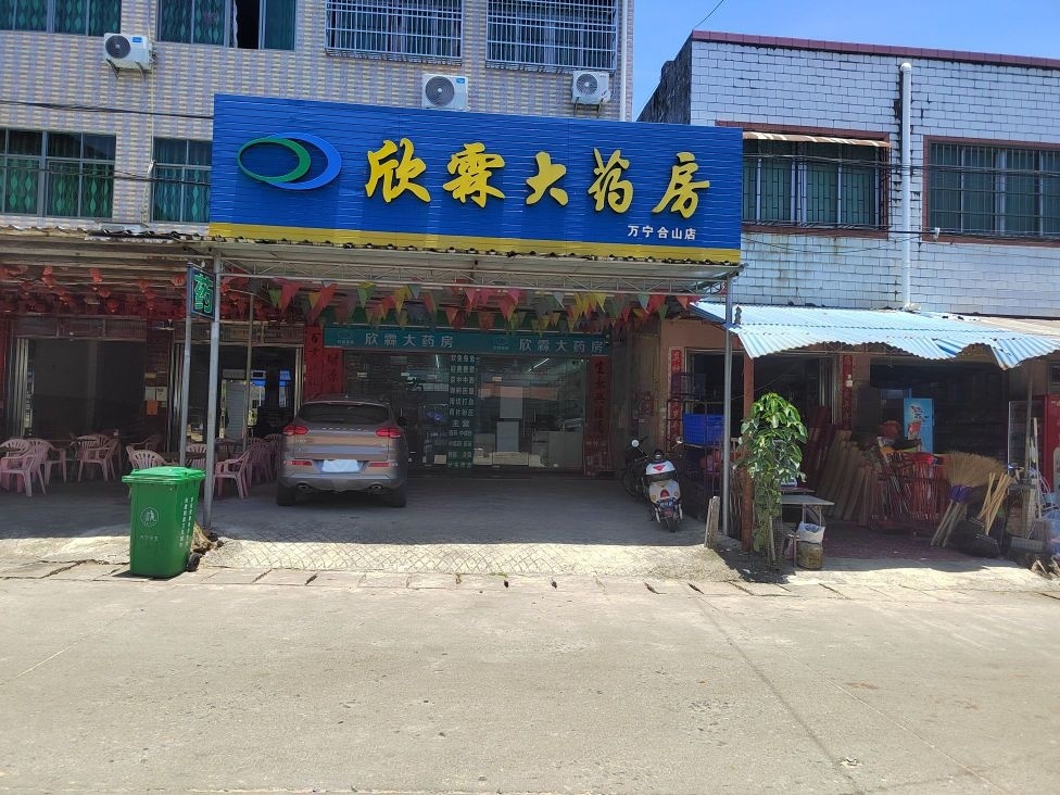 万宁欣霖大药房(万宁合山店)