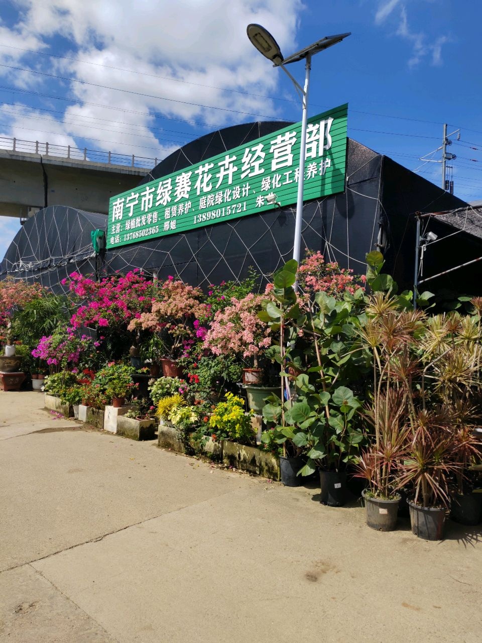 南宁市绿赛花卉经营部