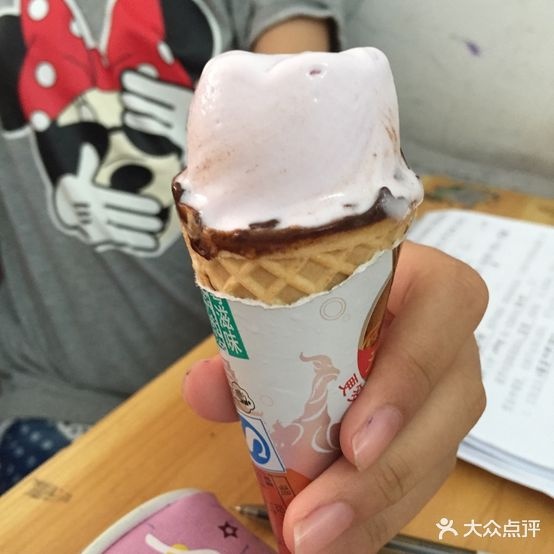 奋进雪糕(棉城店)