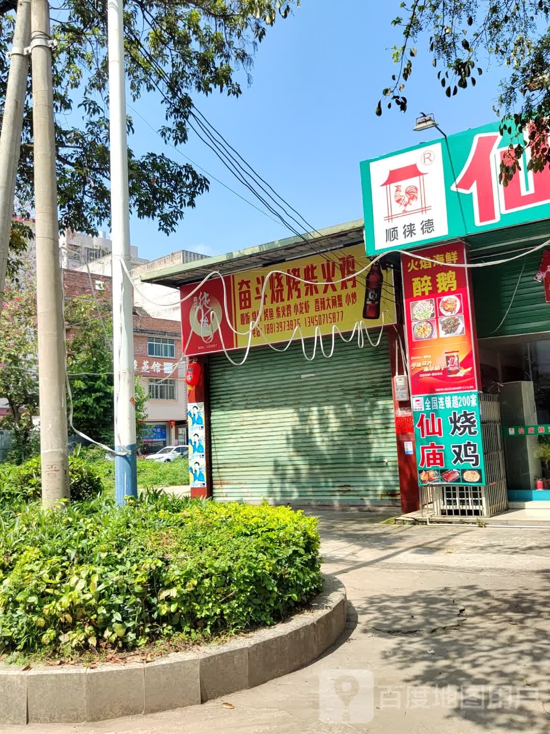 奋斗烧烤柴火鸡1