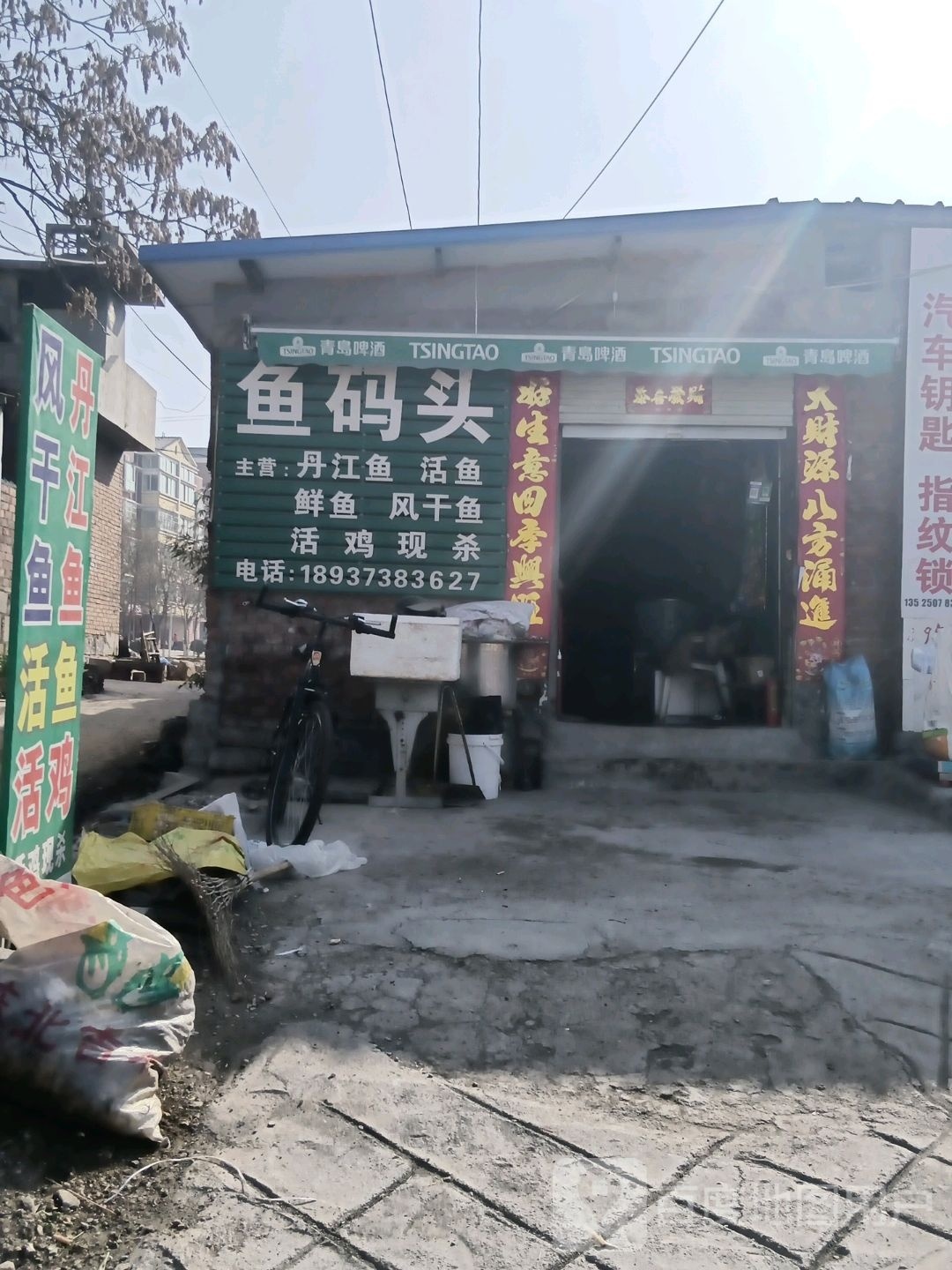 鱼码头