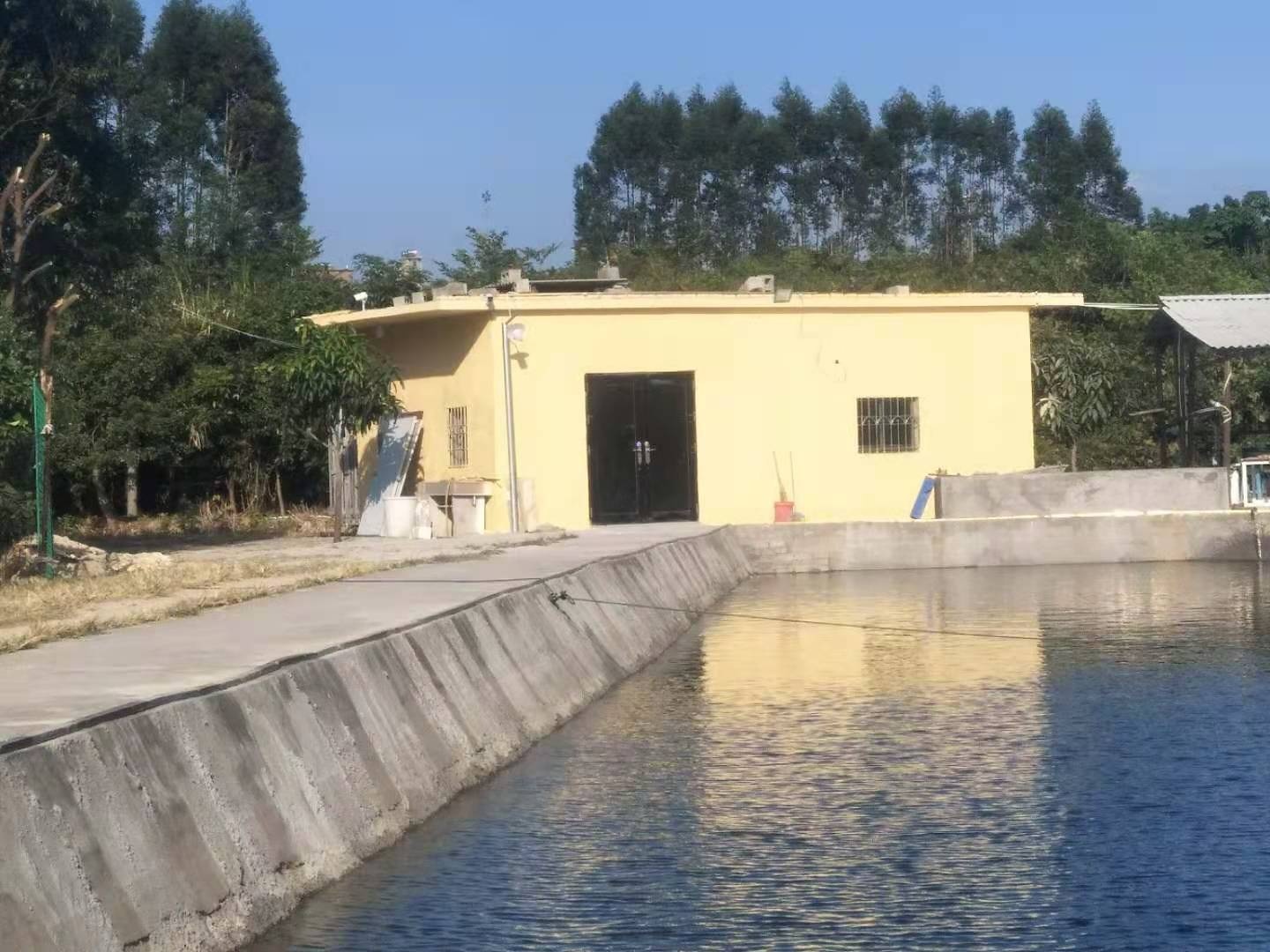 厦门新概念大物分塘