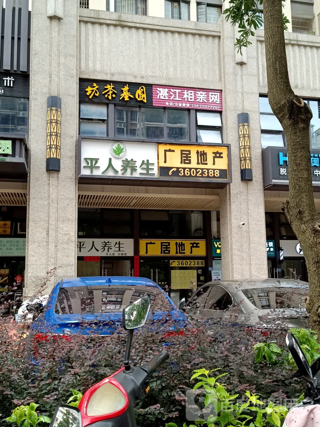 湛江相亲网