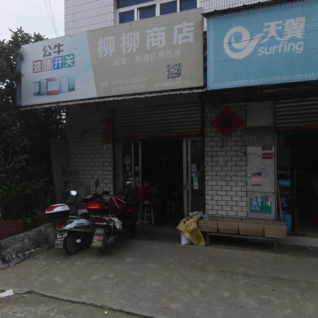 柳柳商店