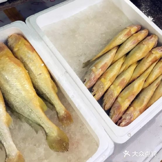 老刘海鲜专卖