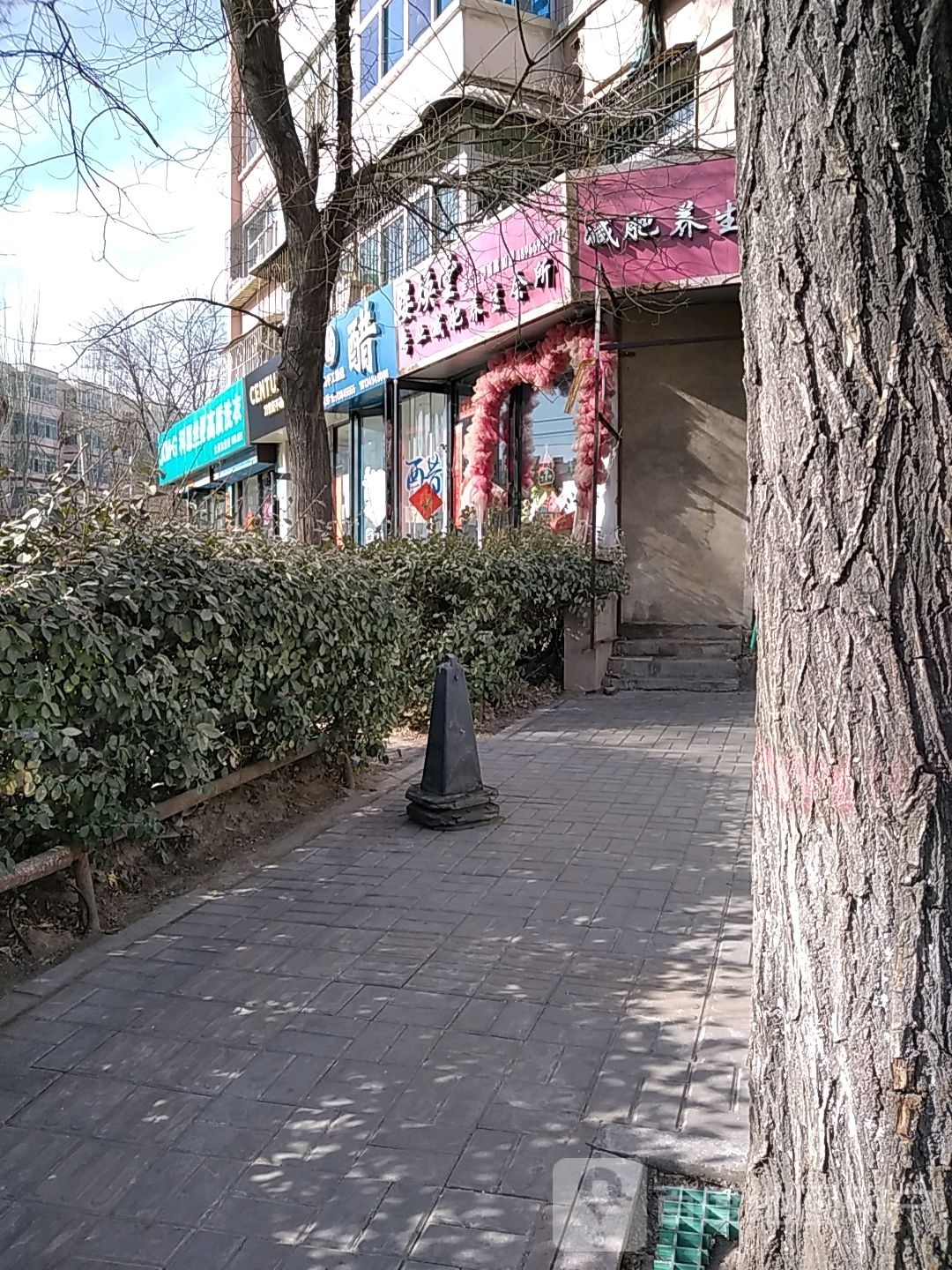 姿焕堂专业减肥羊生会所
