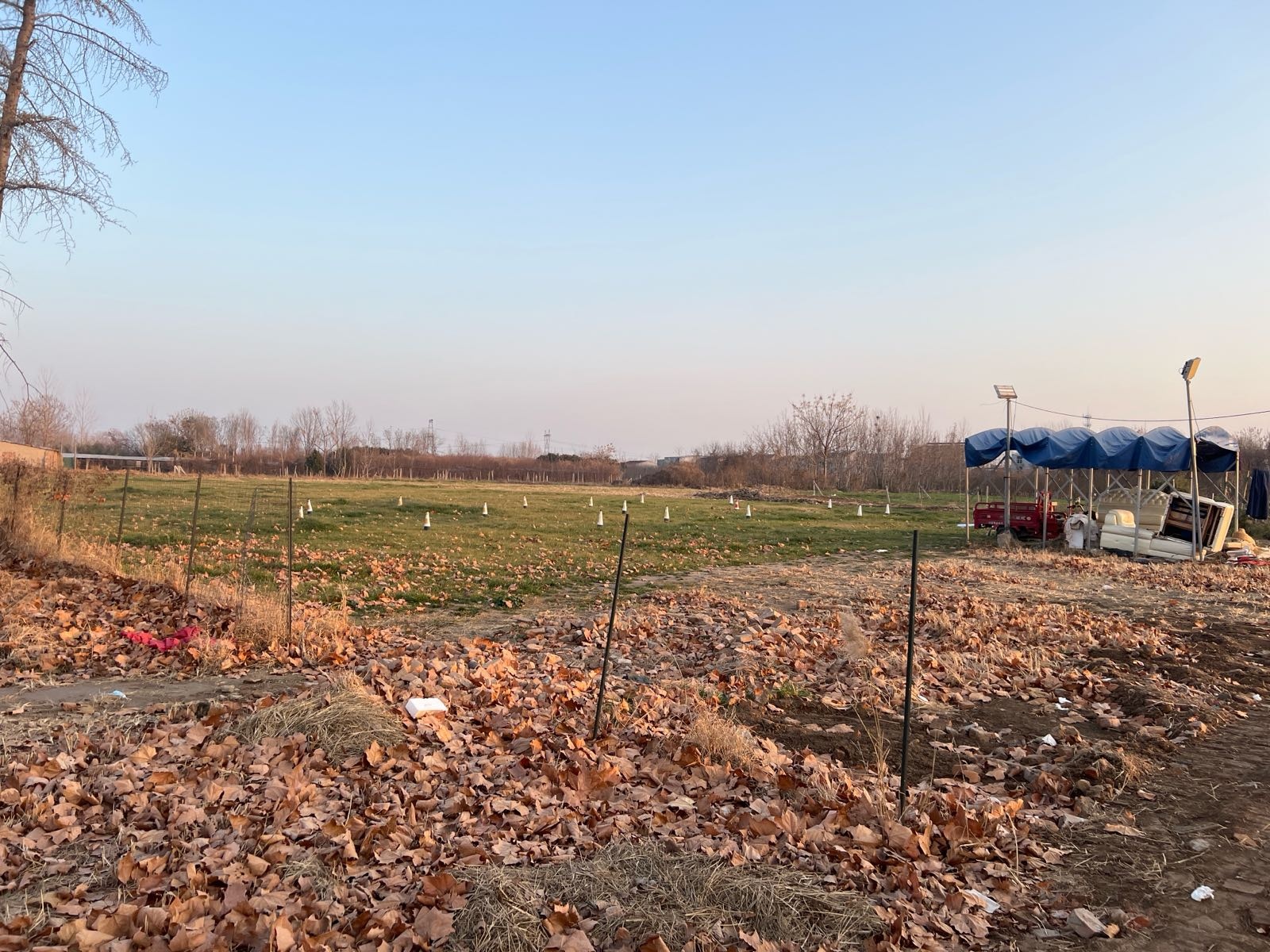 强国羽翼羽丰训练基地