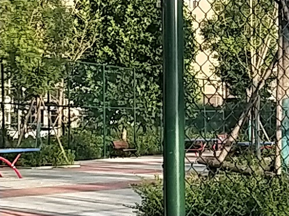 乒乓球活动场