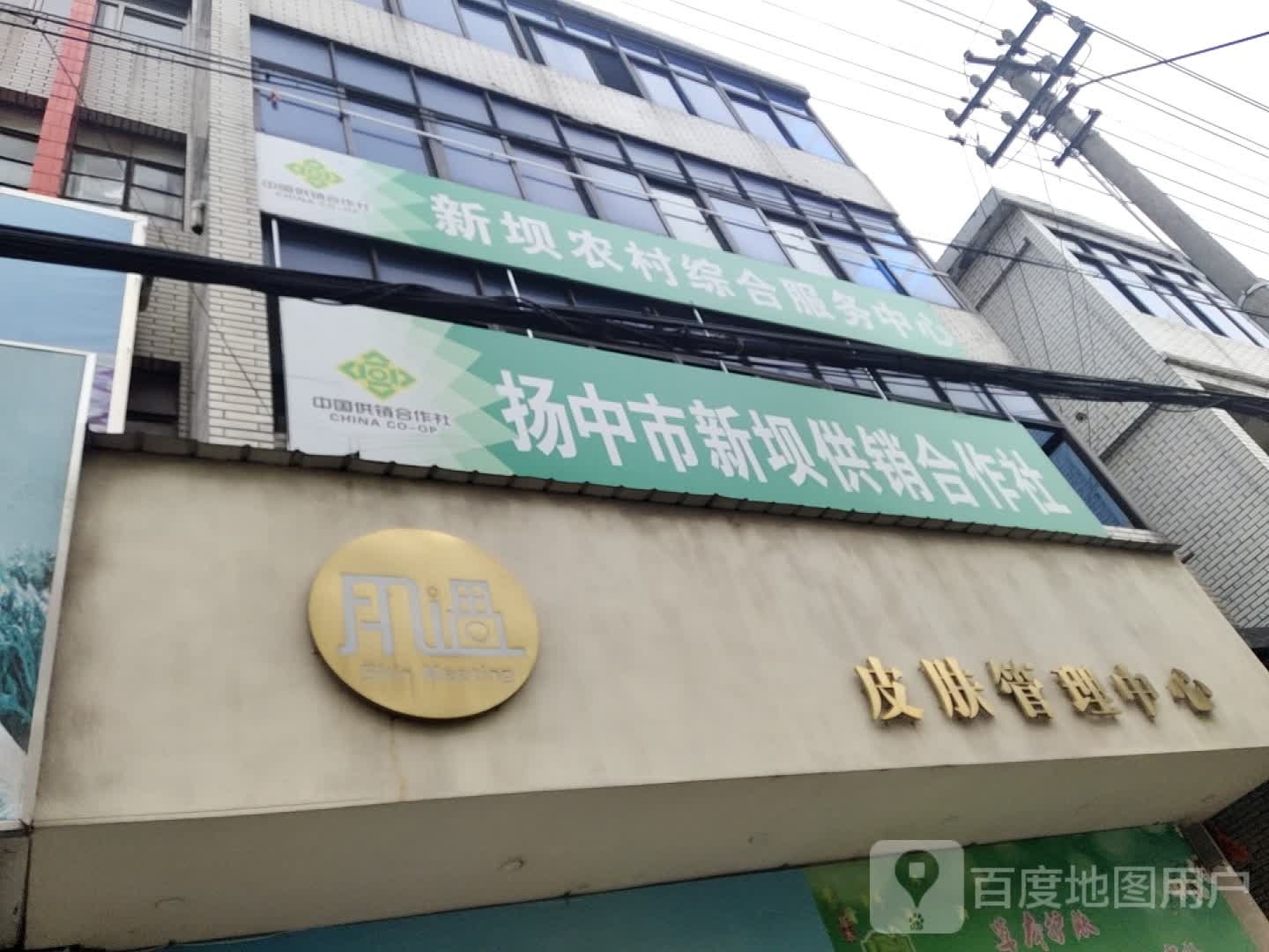 肌遇皮肤管理