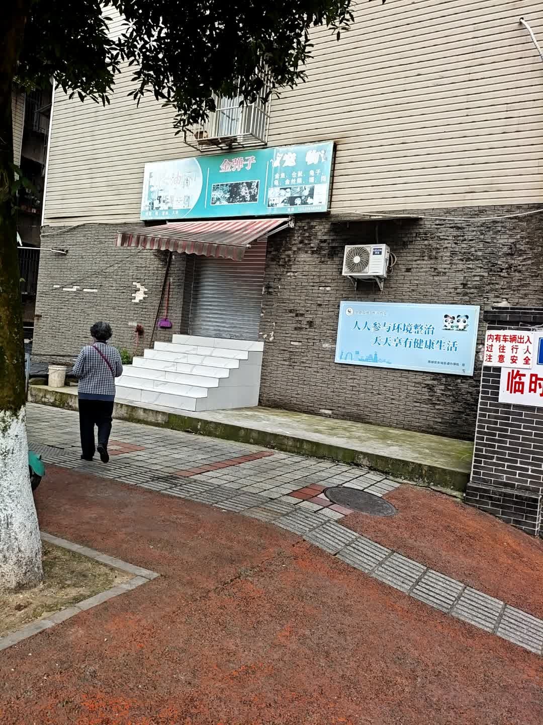 金弹子宠物