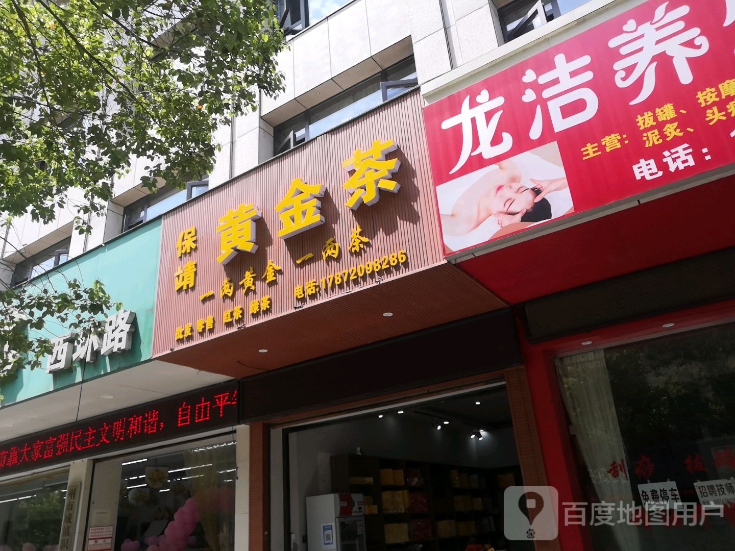 保靖黄金茶