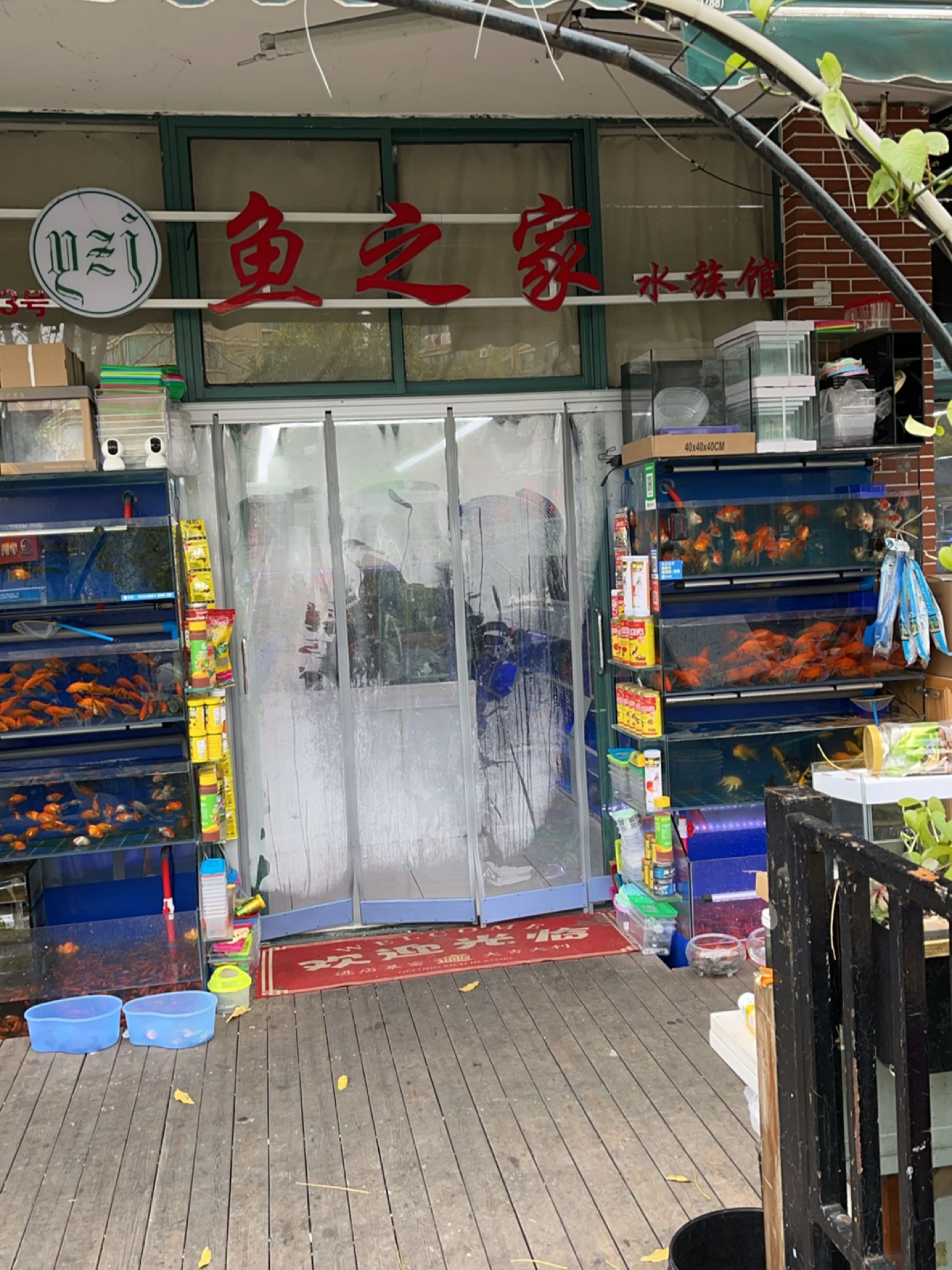 鱼之家水族馆(黄山花鸟市场店)