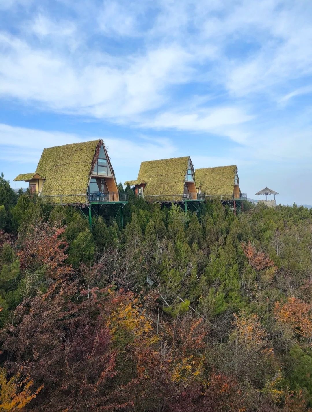 玉泉山城郊森林公园